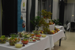 50-eves-a-bkv-es-a-xviii-varosi-kozlekedes-aktualis-kerdesei-cimu-konferencia_033