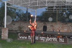 xv-varosi-kozlekedes-aktualis-kerdesei_057