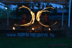 xv-varosi-kozlekedes-aktualis-kerdesei_059